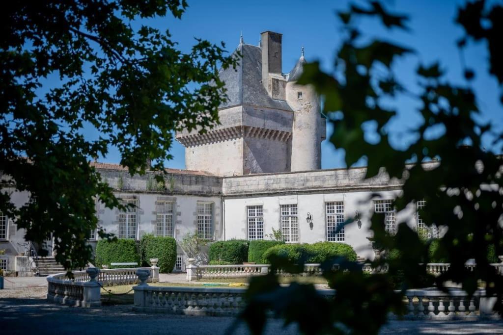 Chateau De Mornay Saint-Pierre-de-l'Isle Exteriör bild