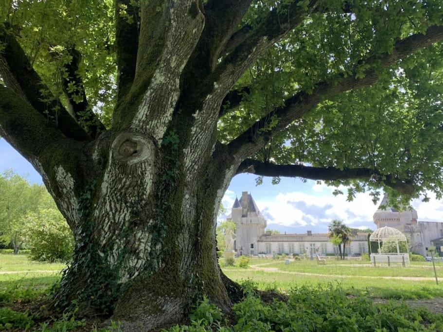 Chateau De Mornay Saint-Pierre-de-l'Isle Exteriör bild